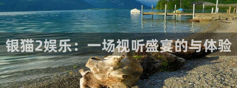 三牛娱乐：银猫2娱乐：一场视听盛宴的与体验