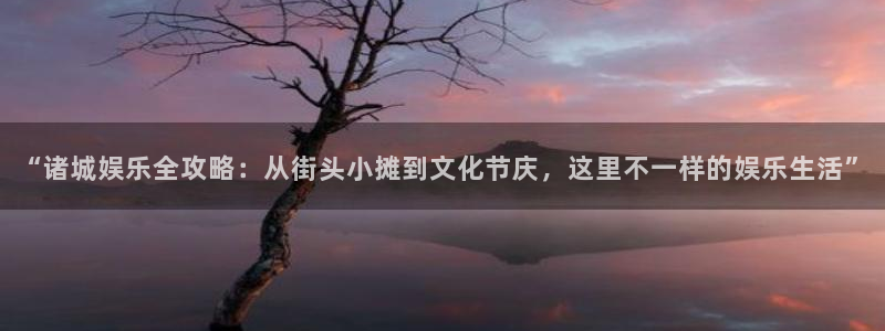三牛娱乐：“诸城娱乐全攻略：从街头小摊到文化节庆，这里不一样的娱乐生活”