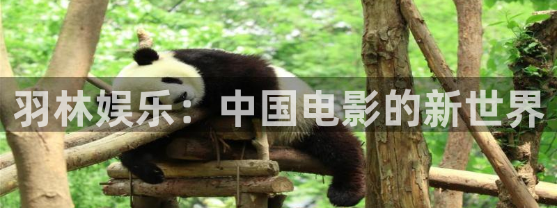 三牛娱乐：羽林娱乐：中国电影的新世界
