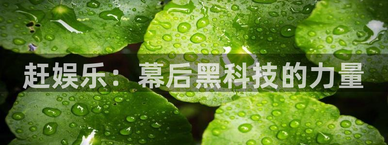 三牛娱乐：赶娱乐：幕后黑科技的力量